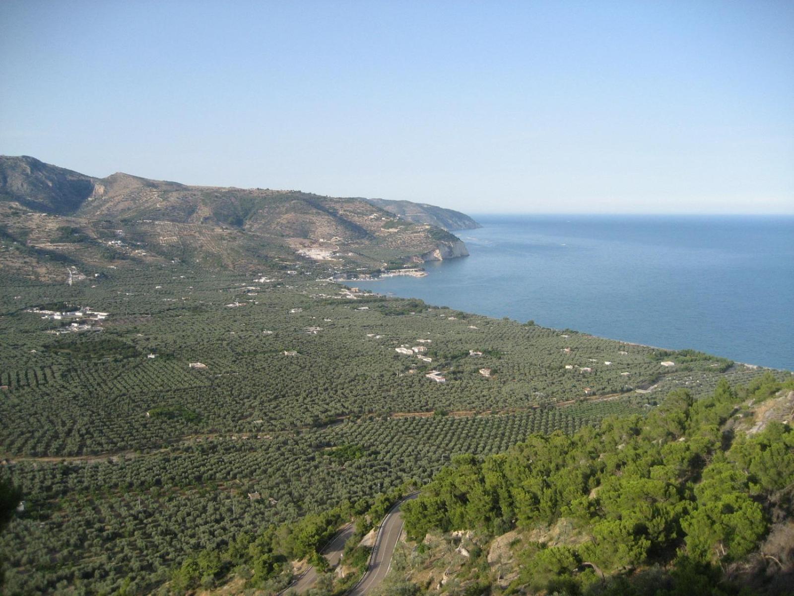 Mattinata Camping Dış mekan fotoğraf