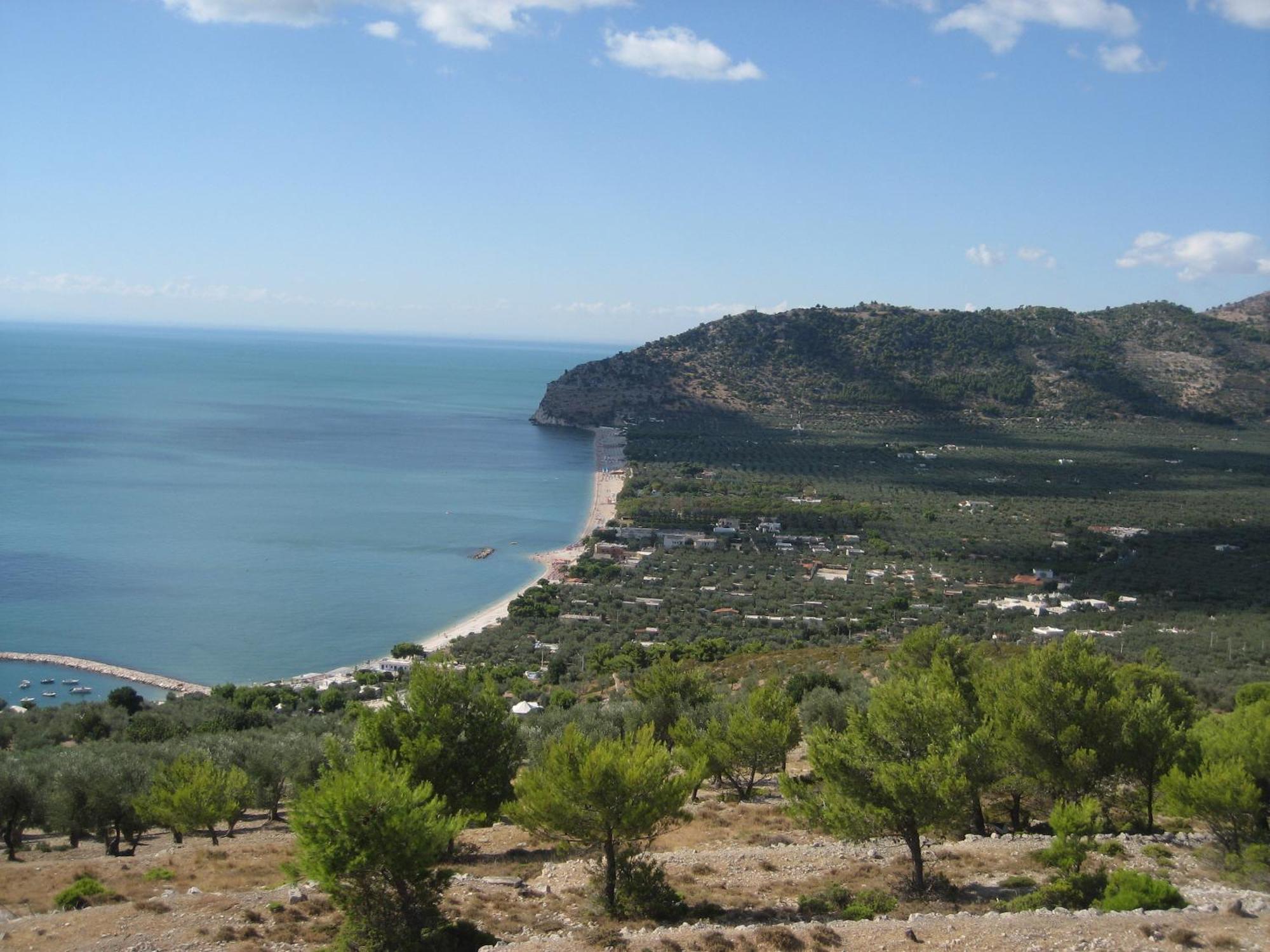 Mattinata Camping Dış mekan fotoğraf