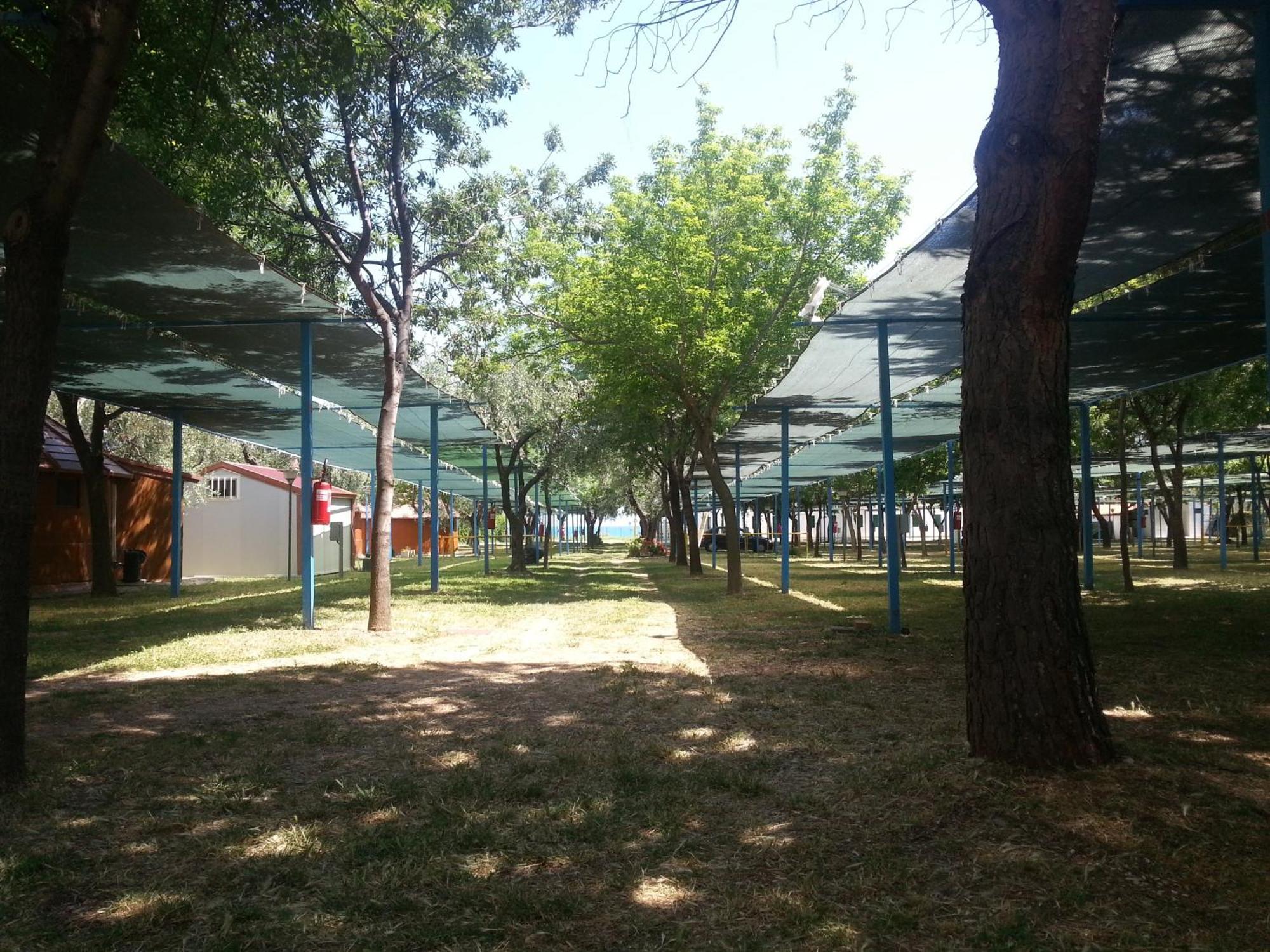 Mattinata Camping Dış mekan fotoğraf